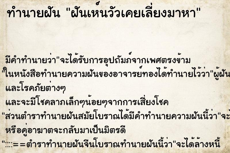 ทำนายฝัน ฝันเห์นวัวเคยเลี่ยงมาหา ทำนายฝัน ฝันเห์นวัวเคยเลี่ยงมาหา