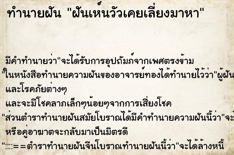 ทำนายฝัน ฝันเห์นวัวเคยเลี่ยงมาหา ตำราโบราณ แม่นที่สุดในโลก