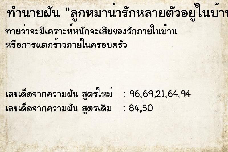 ทำนายฝันทำนายฝันลูกหมาน่ารักหลายตัวอยู่ในบ้านวัน