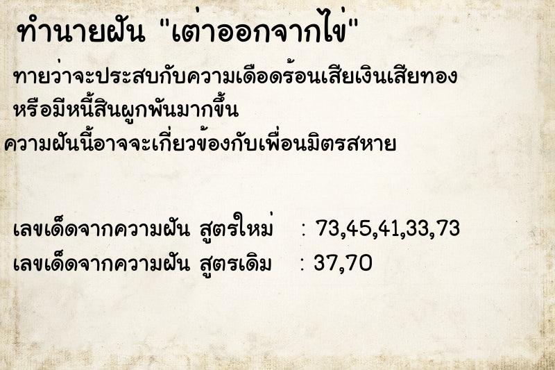 ทำนายฝันเต่าออกจากไข่ ทำนายฝันทำนายฝันเต่าออกจากไข่