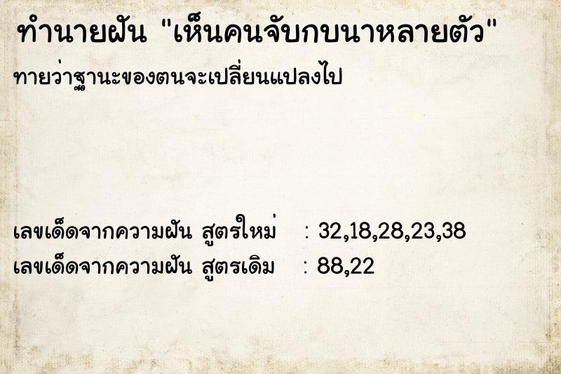 ทำนายฝันทำนายฝันเห็นคนจับกบนาหลายตัว