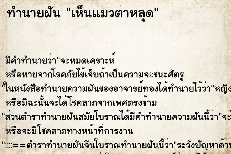 ทำนายฝัน เห็นแมวตาหลุด ตำราโบราณ แม่นที่สุดในโลก