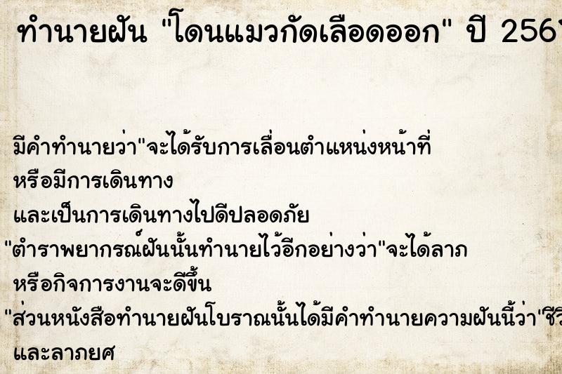 ทำนายฝัน โดนแมวกัดเลือดออก ทำนายฝัน โดนแมวกัดเลือดออก