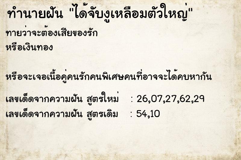 ทำนายฝันทำนายฝันได้จับงูเหลือมตัวใหญ่