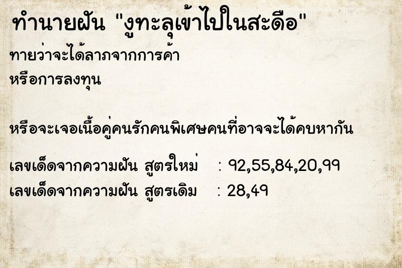 ทำนายฝันทำนายฝันงูทะลุเข้าไปในสะดือ