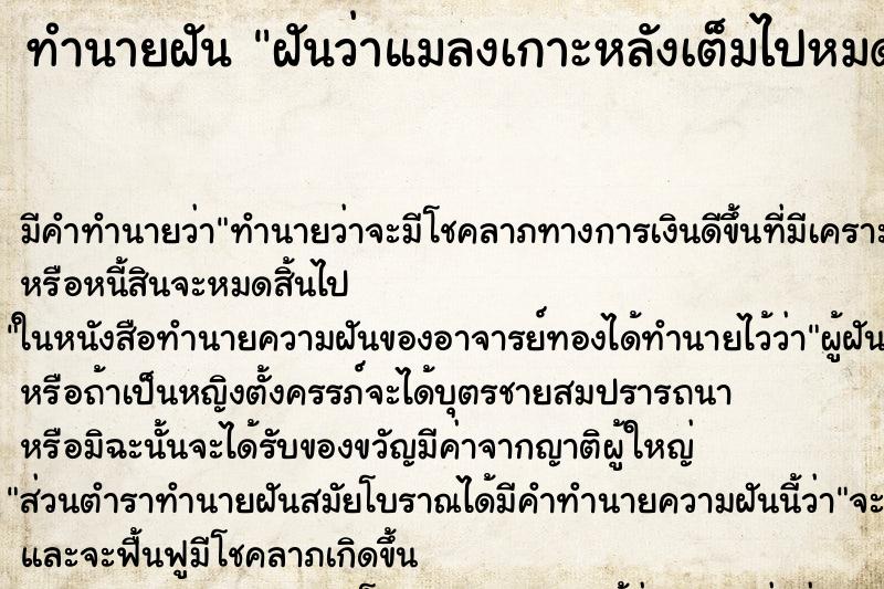 ทำนายฝัน ฝันว่าแมลงเกาะหลังเต็มไปหมด ตำราโบราณ แม่นที่สุดในโลก