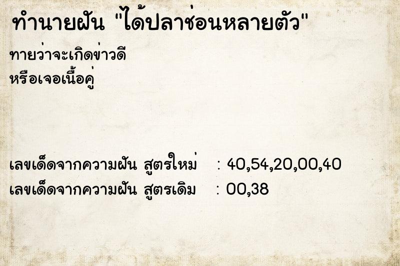 ทำนายฝันทำนายฝันได้ปลาช่อนหลายตัว