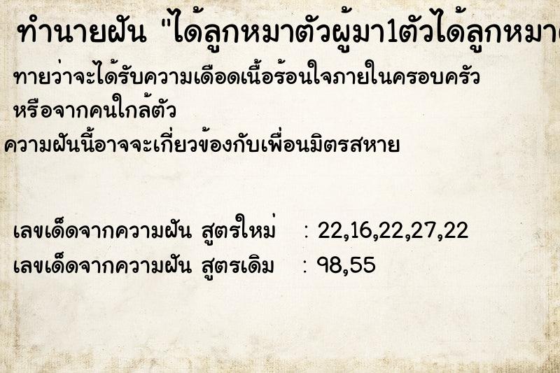 ทำนายฝัน ได้ลูกหมาตัวผู้มา1ตัวได้ลูกหมาตัวผู้มา1ตัว ตำราโบราณ แม่นที่สุดในโลก