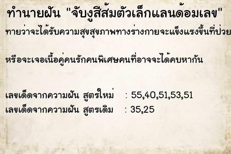 ทำนายฝันจับงูสีส้มตัวเล็กแลนด้อมเลข ทำนายฝันทำนายฝันจับงูสีส้มตัวเล็กแลนด้อมเลข