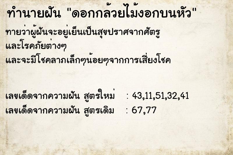 ทำนายฝันดอกกล้วยไม้งอกบนหัว ทำนายฝันทำนายฝันดอกกล้วยไม้งอกบนหัว
