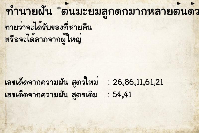 ทำนายฝันต้นมะยมลูกดกมากหลายต้นด้วย ทำนายฝันทำนายฝันต้นมะยมลูกดกมากหลายต้นด้วย