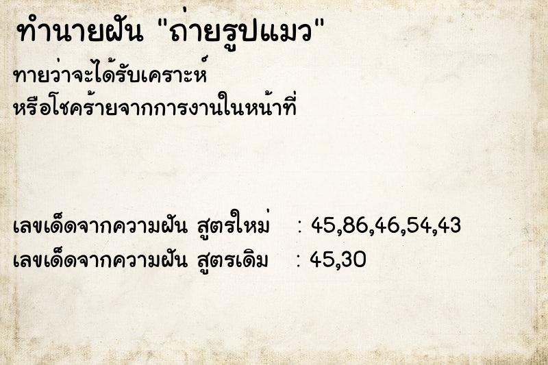 ทำนายฝันถ่ายรูปแมว ทำนายฝันทำนายฝันถ่ายรูปแมว