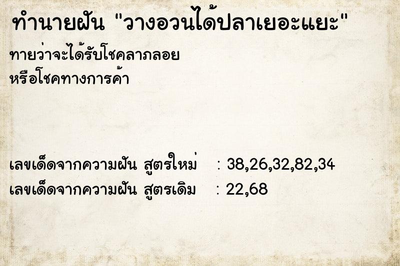 ทำนายฝันวางอวนได้ปลาเยอะแยะ ทำนายฝันทำนายฝันวางอวนได้ปลาเยอะแยะ