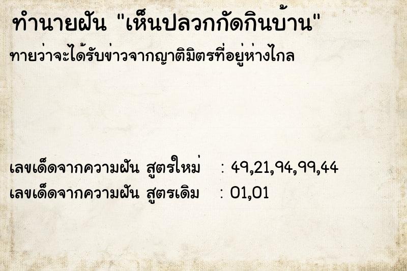 ทำนายฝันเห็นปลวกกัดกินบ้าน ทำนายฝันทำนายฝันเห็นปลวกกัดกินบ้าน