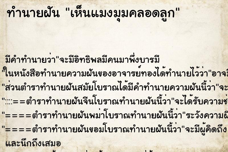 ทำนายฝัน เห็นแมงมุมคลอดลูก ทำนายฝัน เห็นแมงมุมคลอดลูก
