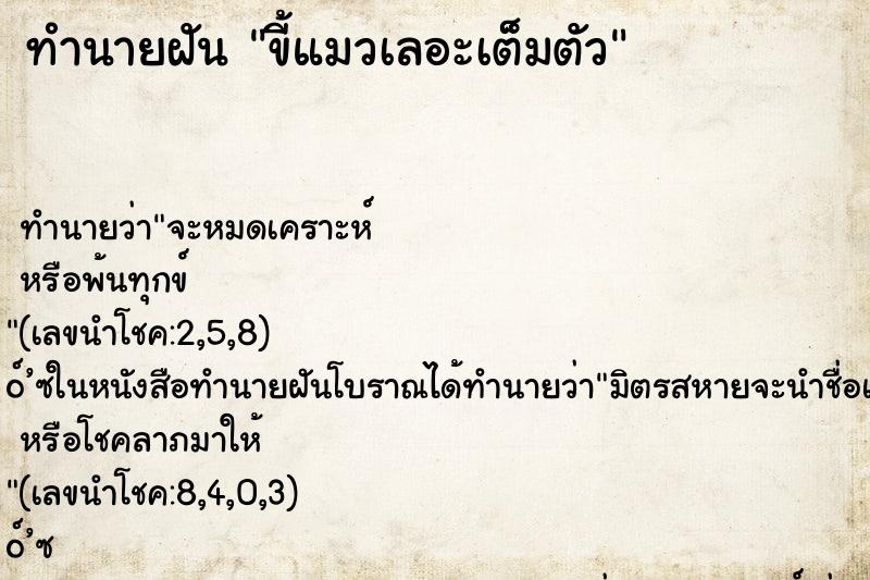 ทำนายฝัน ขี้แมวเลอะเต็มตัว