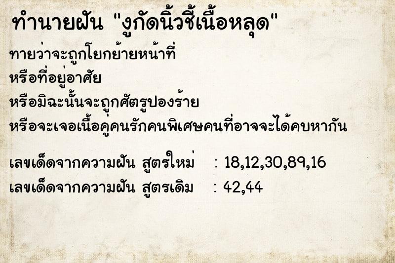 ทำนายฝันงูกัดนิ้วชี้เนื้อหลุด ทำนายฝันทำนายฝันงูกัดนิ้วชี้เนื้อหลุด