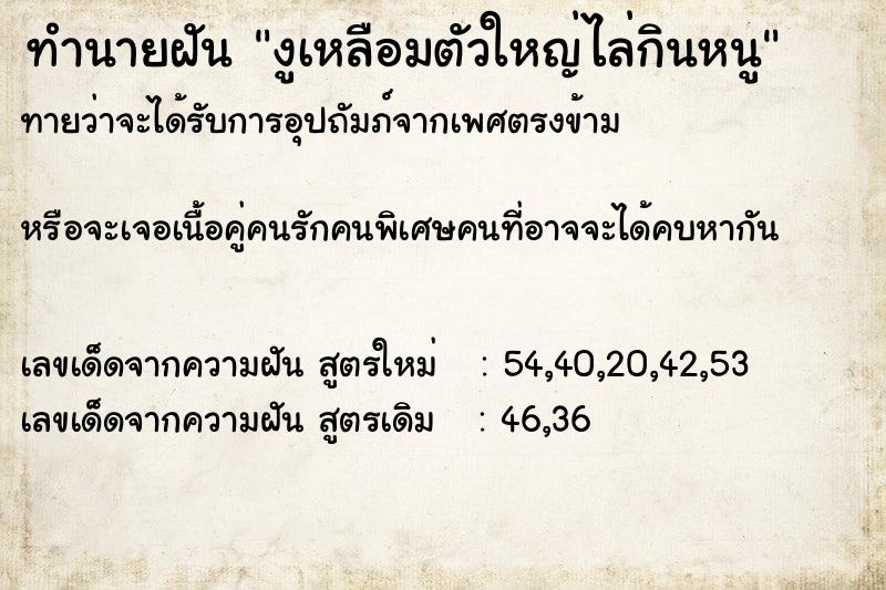 ทำนายฝัน งูเหลือมตัวใหญ่ไล่กินหนู ทำนายฝัน งูเหลือมตัวใหญ่ไล่กินหนู