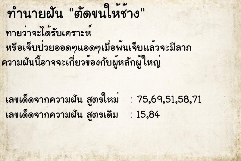 ทำนายฝันตัดขนให้ช้าง ทำนายฝันทำนายฝันตัดขนให้ช้าง