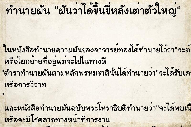 ทำนายฝันฝันว่าได้ขึ้นขี่หลังเต่าตัวใหญ่ ทำนายฝันทำนายฝันฝันว่าได้ขึ้นขี่หลังเต่าตัวใหญ่