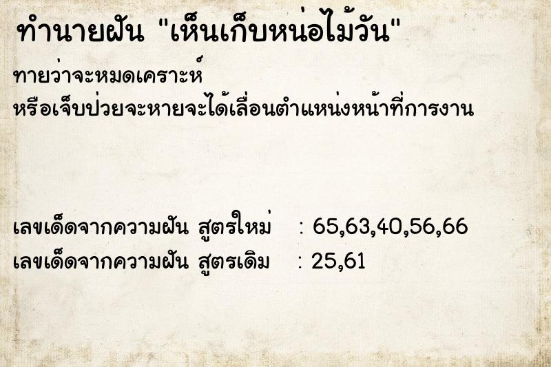 ทำนายฝันเห็นเก็บหน่อไม้วัน ทำนายฝันทำนายฝันเห็นเก็บหน่อไม้วัน