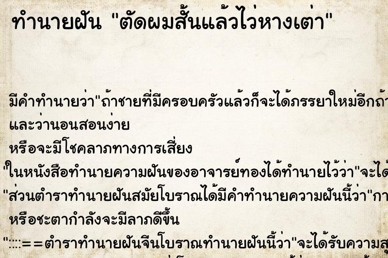 ทำนายฝัน ตัดผมสั้นแล้วไว่หางเต่า ทำนายฝัน ตัดผมสั้นแล้วไว่หางเต่า