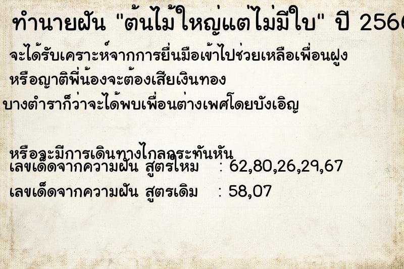 ทำนายฝัน ต้นไม้ใหญ่แต่ไม่มีใบ