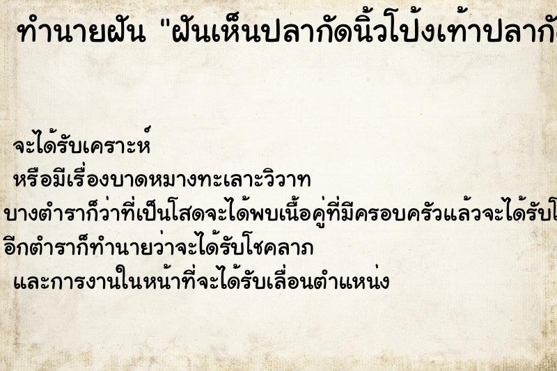 ทำนายฝันฝันเห็นปลากัดนิ้วโป้งเท้าปลากัดนิ้วโป้งเท้า ทำนายฝันทำนายฝันฝันเห็นปลากัดนิ้วโป้งเท้าปลากัดนิ้วโป้งเท้า