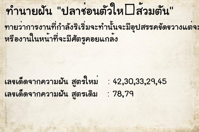 ทำนายฝันปลาช่อนตัวให�ส้วมตัน ทำนายฝันทำนายฝันปลาช่อนตัวให�ส้วมตัน