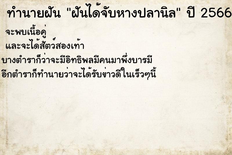ทำนายฝัน ฝันได้จับหางปลานิล