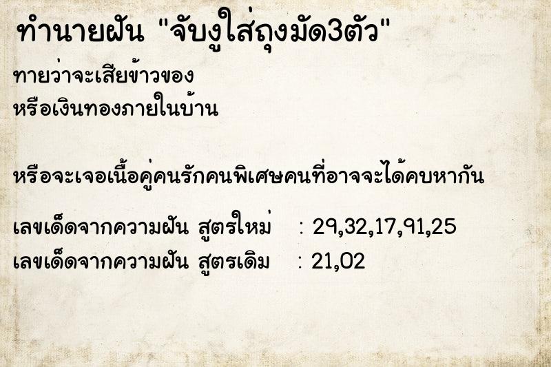 ทำนายฝัน จับงูใส่ถุงมัด3ตัว ทำนายฝัน จับงูใส่ถุงมัด3ตัว