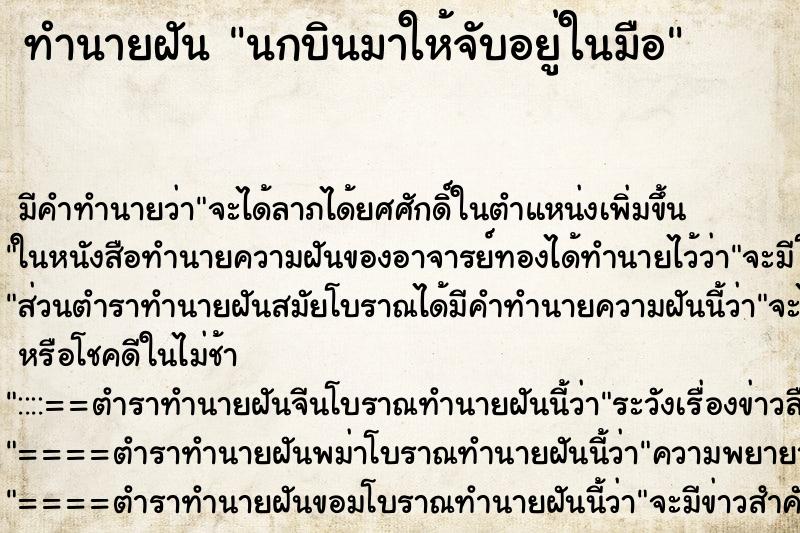 ทำนายฝัน นกบินมาให้จับอยู่ในมือ ทำนายฝัน นกบินมาให้จับอยู่ในมือ