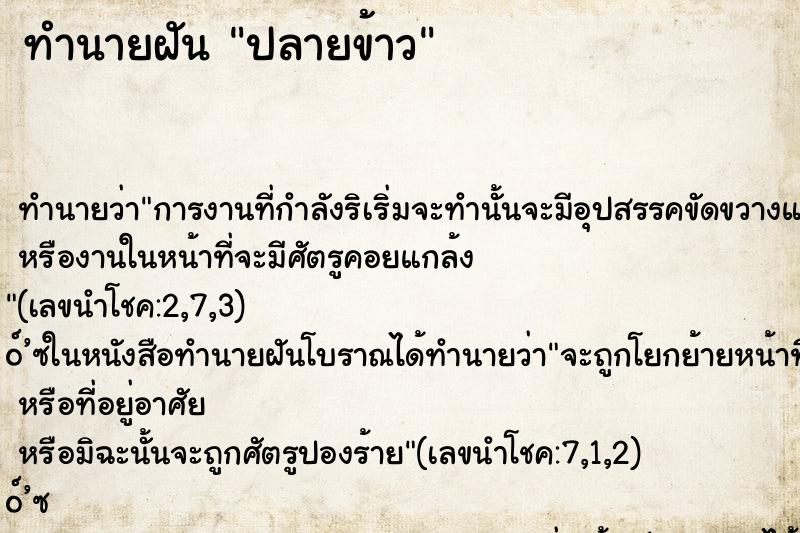 ทำนายฝันทำนายฝันปลายข้าว