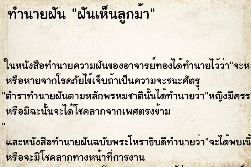 ทำนายฝันทำนายฝันฝันเห็นลูกม้า