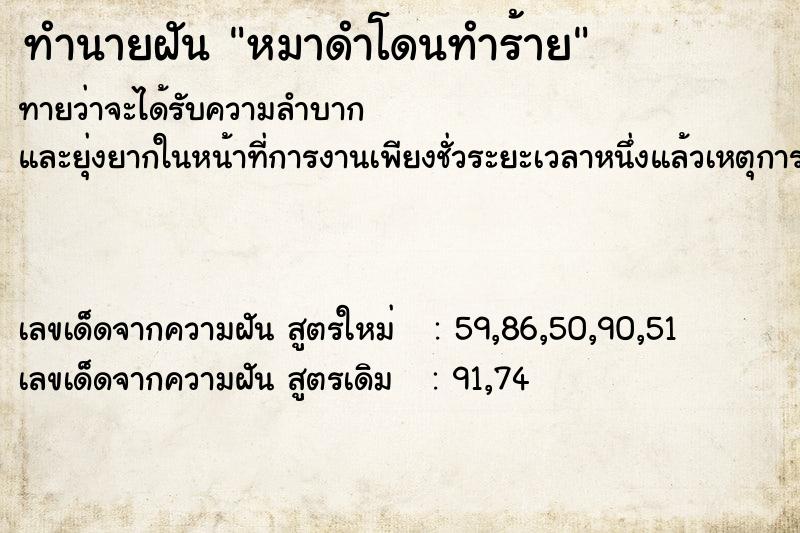 ทำนายฝันหมาดำโดนทำร้าย ทำนายฝันทำนายฝันหมาดำโดนทำร้าย