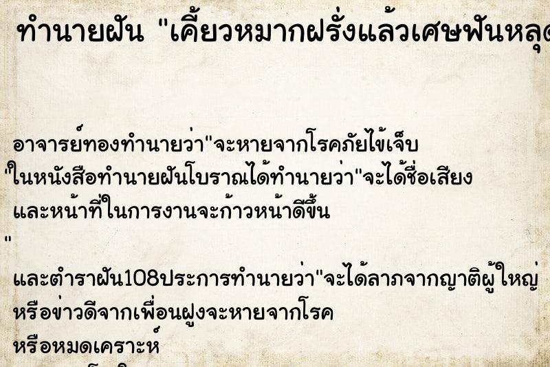 ทำนายฝันเคี้ยวหมากฝรั่งแล้วเศษฟันหลุดเลยดึงฟันออก ทำนายฝันทำนายฝันเคี้ยวหมากฝรั่งแล้วเศษฟันหลุดเลยดึงฟันออก