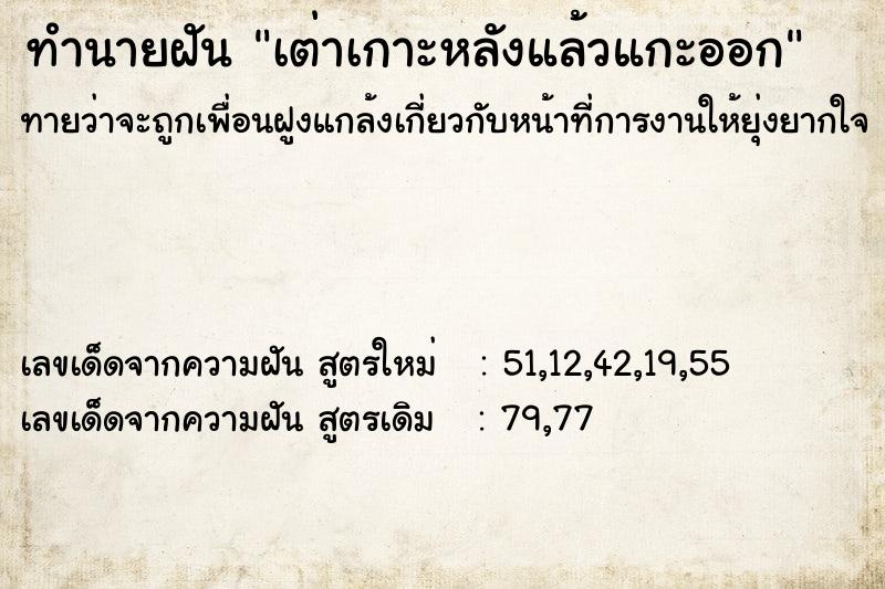 ทำนายฝันทำนายฝันเต่าเกาะหลังแล้วแกะออก