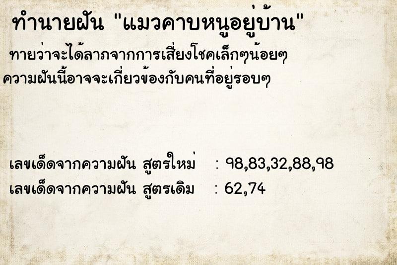 ทำนายฝันแมวคาบหนูอยู่บ้าน ทำนายฝันทำนายฝันแมวคาบหนูอยู่บ้าน