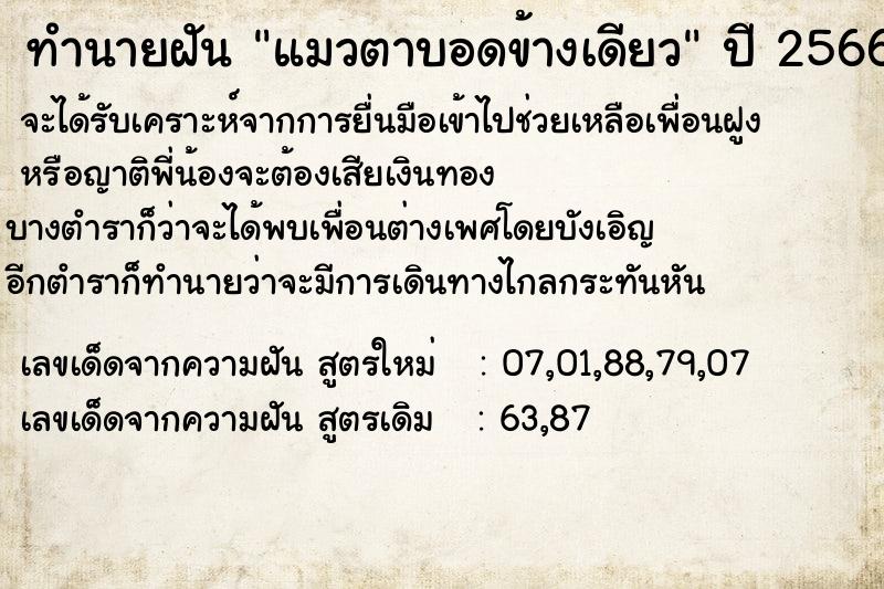 ทำนายฝัน แมวตาบอดข้างเดียว ทำนายฝัน แมวตาบอดข้างเดียว