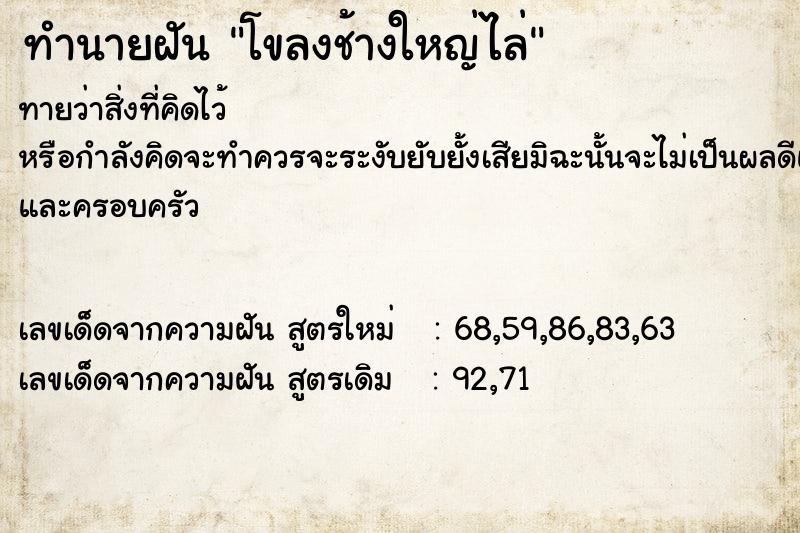 ทำนายฝันโขลงช้างใหญ่ไล่ ทำนายฝันทำนายฝันโขลงช้างใหญ่ไล่