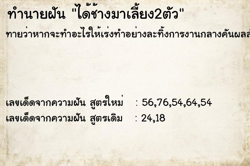 ทำนายฝันทำนายฝันได้ช้างมาเลี้ยง2ตัว