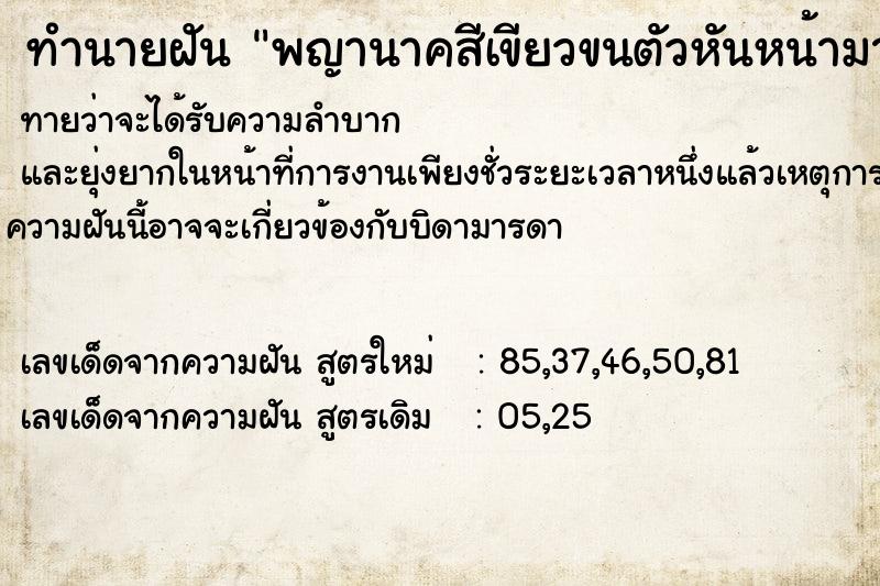 ทำนายฝันทำนายฝันพญานาคสีเขียวขนตัวหันหน้ามามอง