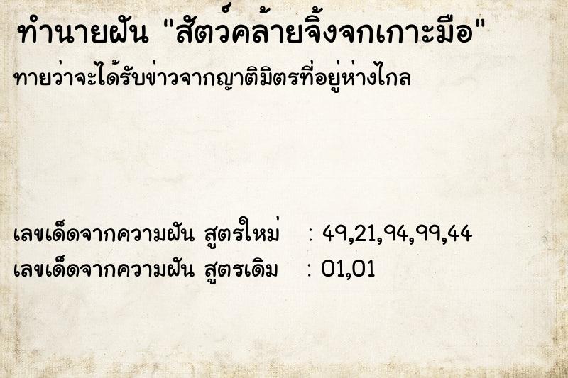 ทำนายฝันทำนายฝันสัตว์คล้ายจิ้งจกเกาะมือ
