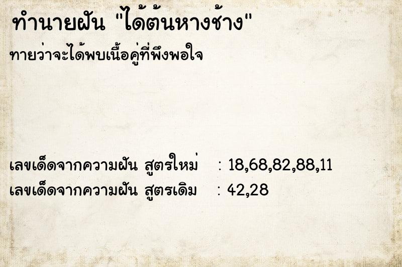 ทำนายฝันทำนายฝันได้ต้นหางช้าง