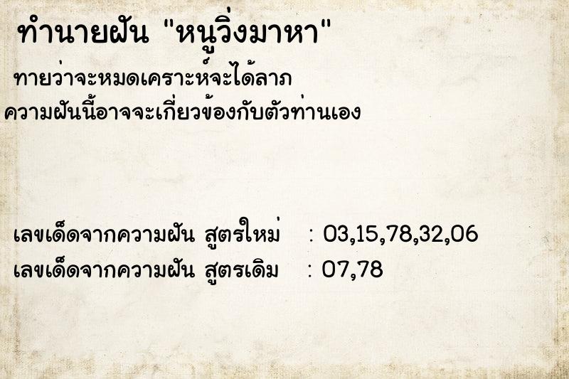 ทำนายฝันหนูวิ่งมาหา ทำนายฝันทำนายฝันหนูวิ่งมาหา