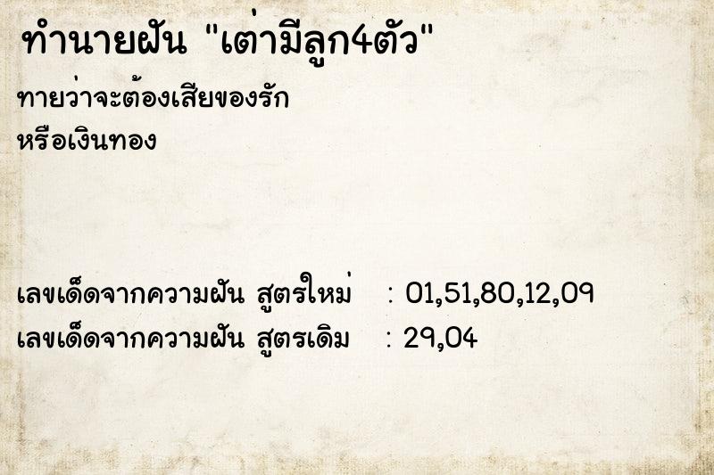 ทำนายฝันเต่ามีลูก4ตัว ทำนายฝันทำนายฝันเต่ามีลูก4ตัว