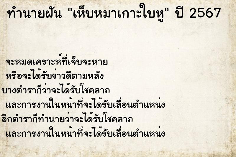 ทำนายฝัน เห็บหมาเกาะใบหู ทำนายฝัน เห็บหมาเกาะใบหู