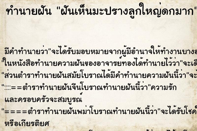 ทำนายฝันฝันเห็นมะปรางลูกใหญ่ดกมาก ทำนายฝันทำนายฝันฝันเห็นมะปรางลูกใหญ่ดกมาก