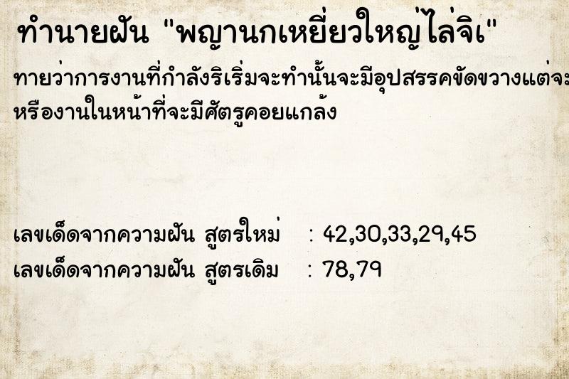 ทำนายฝันทำนายฝันพญานกเหยี่ยวใหญ่ไล่จิà