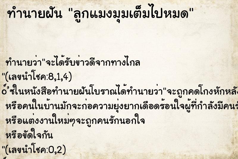 ทำนายฝันทำนายฝันลูกแมงมุมเต็มไปหมด